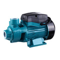 Electric Garden Water Pump – QB60 (Standard)